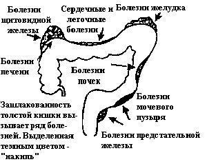 др нона, доктор нона, dr.nona - www.drnona.info